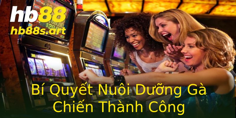 Bí Quyết Nuôi Dưỡng Gà Chiến Thành Công