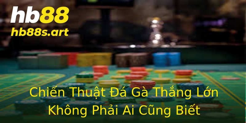 Chiến Thuật Đá Gà Thắng Lớn Không Phải Ai Cũng Biết