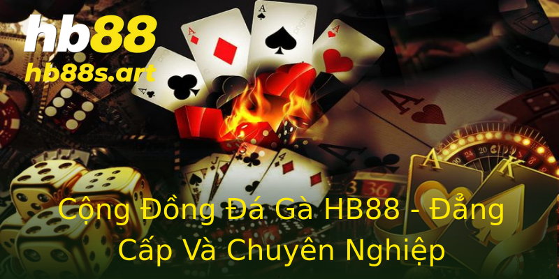 Cộng Đồng Đá Gà HB88 - Đẳng Cấp Và Chuyên Nghiệp