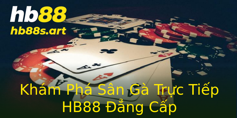 Khám Phá Sân Gà Trực Tiếp HB88 Đẳng Cấp
